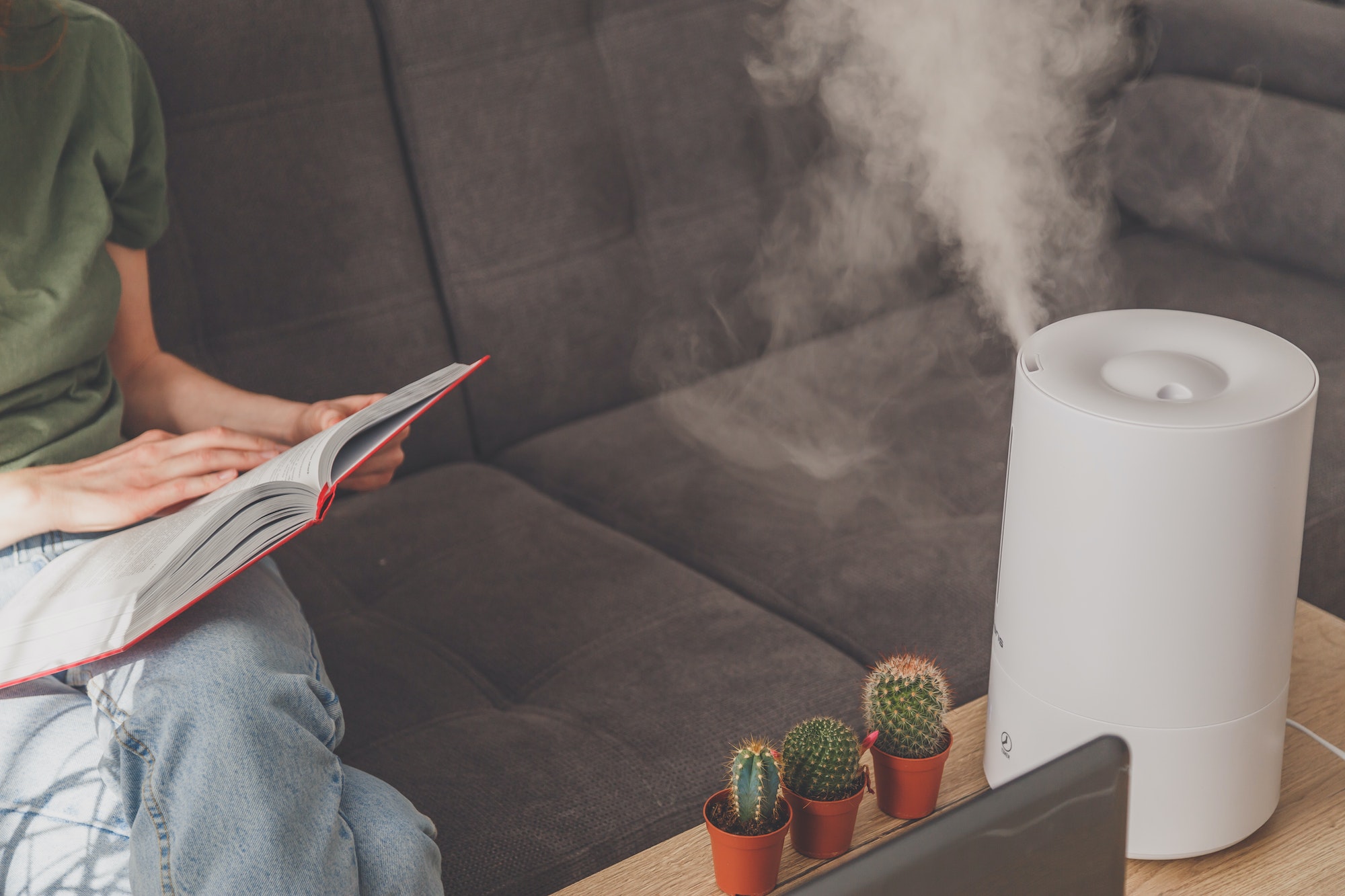 Household humidifier at home on table near woman reading on sofa.