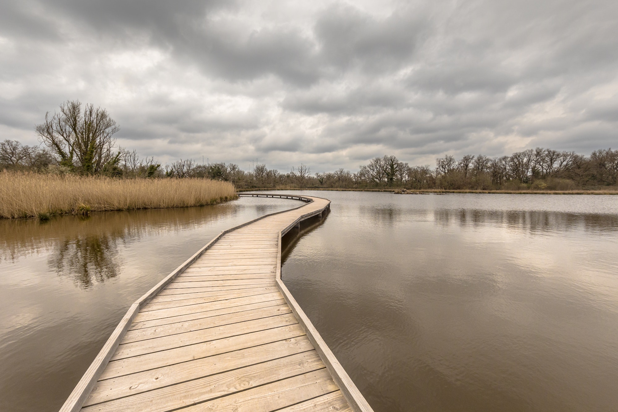 Wetland boardwalk in Nature reserve France